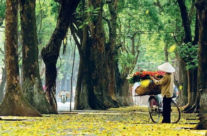 top-10-dia-diem-hoan-hao-trong-nuoc-cho-tuan-trang-mat-11