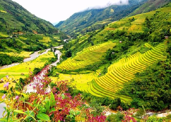 top-10-dia-diem-hoan-hao-trong-nuoc-cho-tuan-trang-mat-8